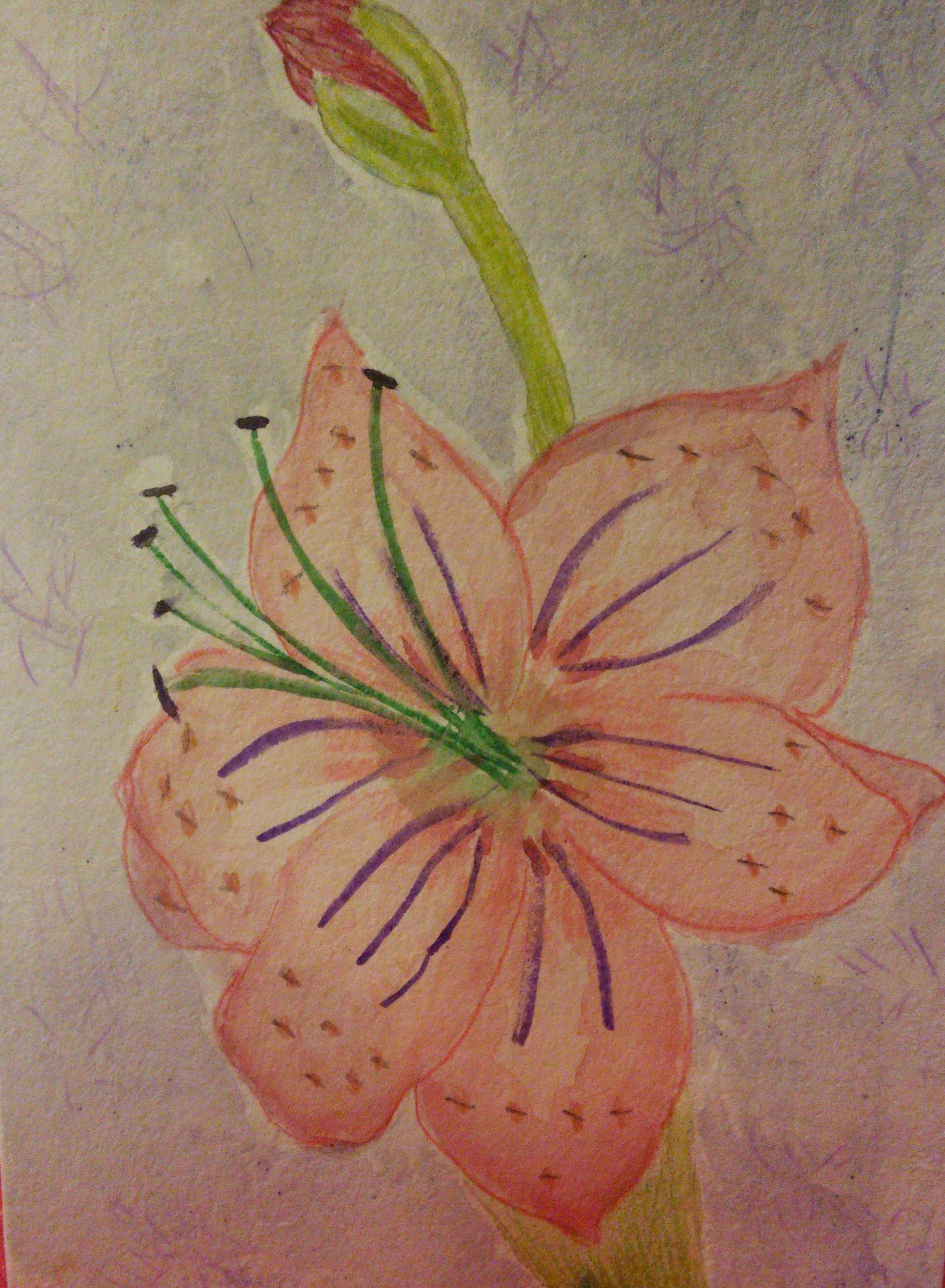watercolor flower